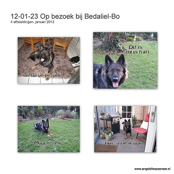 Op bezoek bij Bedaliël-Bo in Noordwijk